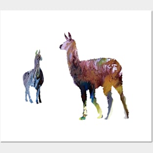 Llama art Posters and Art